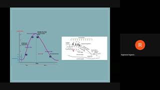 Hydrographs  Hydrology and Water Resources Engg Dr R Vignesh [upl. by Cosma]