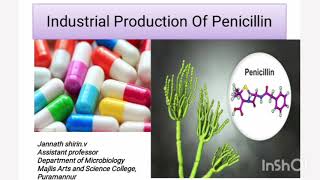 Penicillin productionIndustrial MicrobiologyFermentationRecoveryAntibiotic [upl. by Annaira]