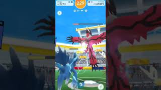 Hunting for Shiny Yveltal✨✨✨ pokemongo shinypokemon [upl. by Haeel]