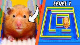 I built a LEGO MAZE for a HAMSTER [upl. by Toland]