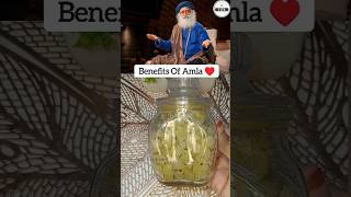 Best Way To Eat Amla Suggested By Sadhguru ♥️ shorts [upl. by Lorolla]