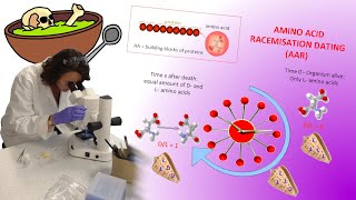 Amino Acid Racemization Dating Technique Aspects of Archaeology [upl. by Selie]