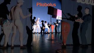 Microdose Pilobolus from Shadowland the Cafe [upl. by Alexander]