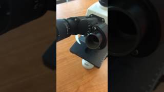 Inserting Microscope Camera into Eyetube [upl. by Rainer]