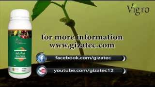 Giza Fertile the favourite micronutrients fertilizer chelated with fulvic acid [upl. by Sardse]