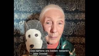 Eindejaarsgroet Jane Goodall [upl. by Columbine]