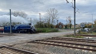 Sir Nigel gresley steam train passing through tallington level crossing Lincolnshire 161124 [upl. by Davon]