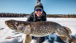 Ice Fishing for HUGE Northern Pike [upl. by Enisamoht230]