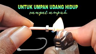 Rangkaian pancing dasaran umpan udang hidup  paling ampuh [upl. by Yrennalf]