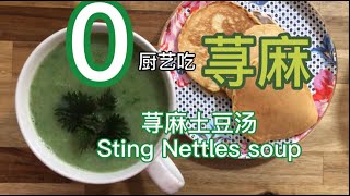 0厨艺吃野菜——荨麻土豆汤，营养健康又美味 sting nettles potato soup [upl. by Nevanod497]