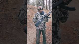 Ruger 1022 60th Anniversary Edition gun shortvideo shorts subscribe [upl. by Peers]