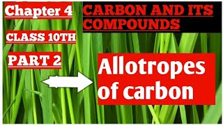 Carbon and its compounds  Allotropes class 10th [upl. by Aretha293]