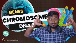 Basics of Genetics Genes Chromosomes and DNA Explained  The Biology Guru 🌱🔬 [upl. by Yerfoeg]