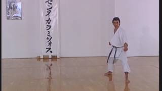 Shotokan  Heian Shodan [upl. by Cicenia]