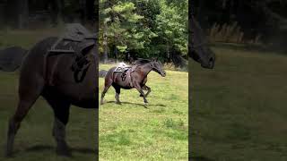 A Cowboys Last Wish Ride on His Favorite Horse at Bobbys Ranch [upl. by Stein]