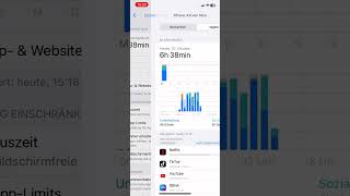 iPhone Bildschirmzeit einsehen 🕞 [upl. by Ggerk]