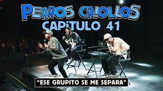 PERROS CRIOLLOS  ESE GRUPITO SE ME SEPARA CAP 41 [upl. by Aicined]