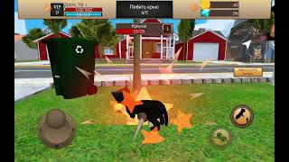 Обзор игры cat simulator  animal life [upl. by Namhar]