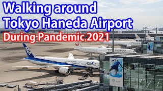 Walking around Tokyo Haneda Airport during Pandemic 2021 4K [upl. by Krueger]