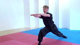 Learn Choy Li Fut Kung Fu  Ping Kuen form [upl. by Octavius]