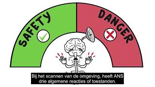 Het effect van Trauma en chronische stress op het zenuwstelsel vanuit de Polyvagaal theorie [upl. by Funch]