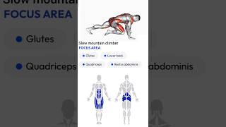 Slow mountain climber  Home workout [upl. by Ahsinauq426]