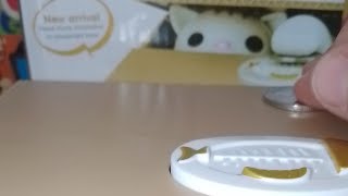 Lets PLAY MISCHIEVOUS CUTE CAT 😺 inside the orange 🍊 coin box day5 satisfying asmr live [upl. by Epotimet372]