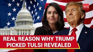 Tulsi Gabbard JUST Breaks Silence and Shocks Everyone [upl. by Anitrebla411]