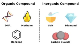 Organic amp inorganic chemistry conceptsintroductionXiiiX Sindh book text [upl. by Lebar953]