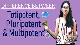 Difference Between Totipotent Pluripotent and Multipotent I NEET GATE CSIRNET IITJAM DBT ICAR ICMR [upl. by Aikym559]