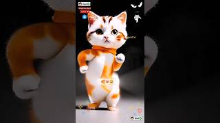 Cat dance Cute kitten 🖤 catlovecats cats catvideos kittenscatlover princesscat kitten [upl. by Virginie]