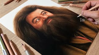 RIP Rubeus Hagrid • Tribute Drawing [upl. by Phebe]