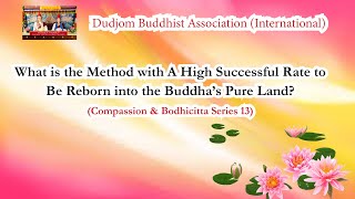 Compassion 13 Method with A High Successful Rate to Be Reborn into the Buddha’s Pure Land [upl. by Eskill742]