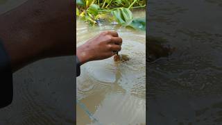 Unique Fishing hand Fishing Challenge Video 😲fishingshortsviralshort [upl. by Nalor]