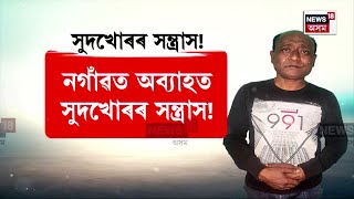 Nagaon Mafia Terror  মুখ্যমন্ত্ৰীৰ নিৰ্দেশক সুদখোৰৰ অ’পেন চেলেঞ্জ  N18V [upl. by Jerrie]