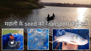 How to transport fish seed  मछली बीज को ट्रांसपोर्टेशन कैसे करें  katlafish fishseed [upl. by Zakarias]