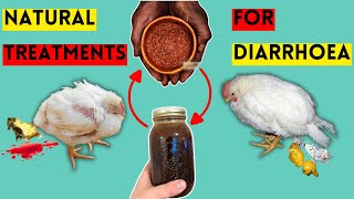 MY 6 BEST NATURAL TREATMENTS FOR DIARRHOEA IN CHICKENS  FOWL POX  DEWORMERS  COCCIDIOSIS [upl. by Ahsima153]