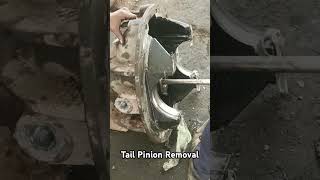 Tail pinion removal trending viralvideo automobile shortvideos automobileengineering shorts [upl. by Isbel]