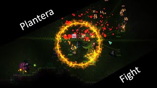 Plantera fight in terraria modded [upl. by Annehcu308]