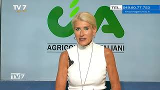 Luci e ombre in agricoltura  Tv7 con Voi 18923 1 di 3 [upl. by Yemiaj]