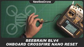 BeeBrain BLV4 Crossfire Nano Receiver Reset [upl. by Sitoeht355]