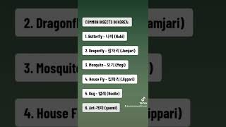 Common insects in Korea See their names in Koreaninsectsbugantbutterflyhouseflydragonfly [upl. by Tirreg]