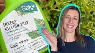 PestFree Plants Made Easy with This Safe Insecticidal Soap [upl. by Oznerol]