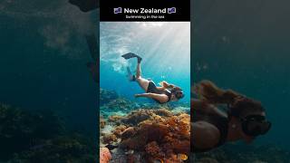 New zealand6 Beautiful 4k movie 8kmovie travel best [upl. by Anh]