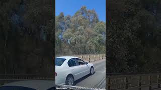 Dashcam  Well that was close Shepparton [upl. by Nrubloc147]