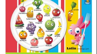 Online Latin Games for kids  Click and tell online game  Learn Latin for kids  Dinolingo [upl. by Idola158]