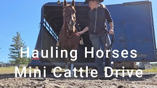 Feeling Like A Cowgirl  Small Farm Vlog  Horses  Cattle Drive [upl. by Serra]