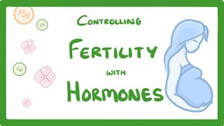 GCSE Biology  What is IVF How Does IVF Work and What Are The Risks IVF Explained 62 [upl. by Gervais]