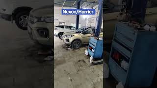 TATA NEXON KAZIRANGA VS NEXON BLACK VS TATA HARRIER ❤️❤️❤️❤️❤️❤️❤️❤️❤️❤️❤️❤️❤️❤️ tatamotors tata [upl. by Zarla]