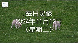 每日灵修2024年11月12日（星期二）路得记1章22节 English translation in description box [upl. by Aicilegna119]